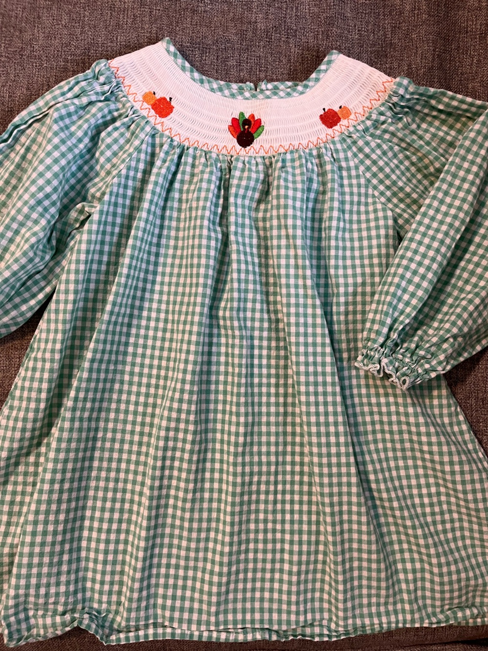 Green Gingham Girl’s Classic A-Line Smocked Dress XL (5) VGUC Turkey Pumpkins